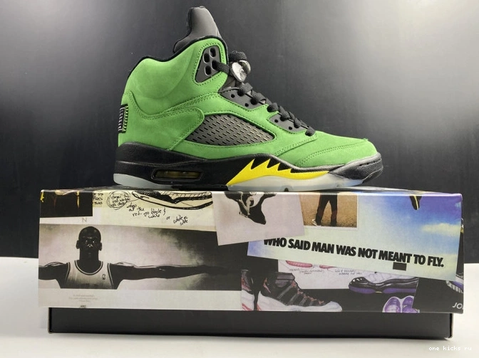 Chep Onekick SE Jordan Air Ducks Oregon 5 CK6631-307 0531